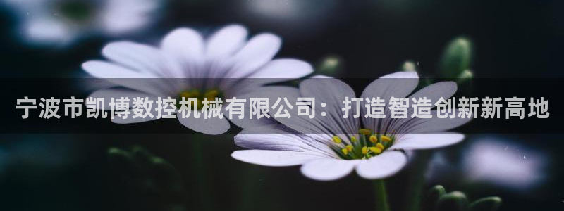 天辰娱乐指尖所:宁波市凯博数控机械有限公司:打造智造创新新高地