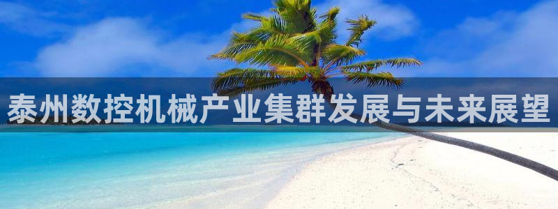 天辰娱乐官方网:泰州数控机械产业集群发展与未来展望