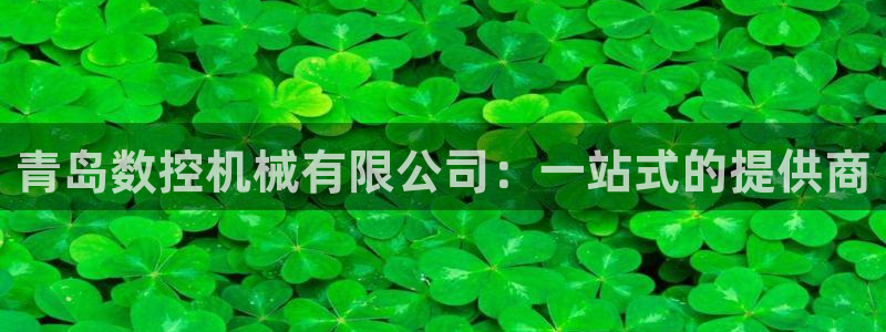 腾讯天辰娱乐:青岛数控机械有限公司:一站式的提供商