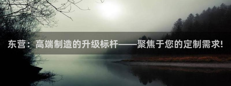 天辰娱乐赌博:东营:高端制造的升级标杆——聚焦于您的定制需求!