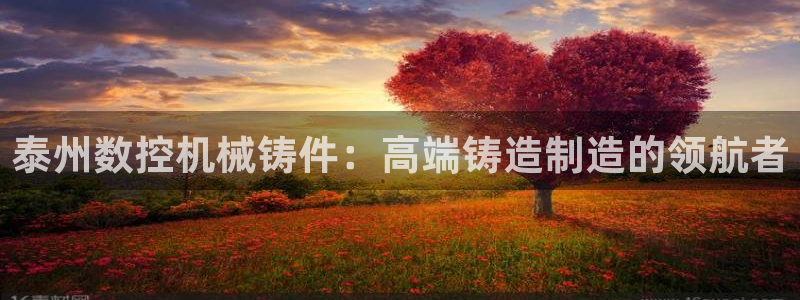 天辰娱乐best:泰州数控机械铸件:高端铸造制造的领航者
