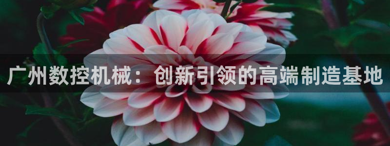 天辰娱乐游戏:广州数控机械:创新引领的高端制造基地