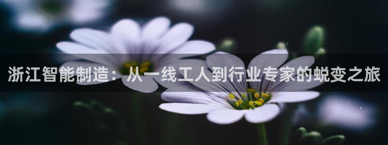 天辰娱乐赌博:浙江智能制造:从一线工人到行业专家的蜕变之旅
